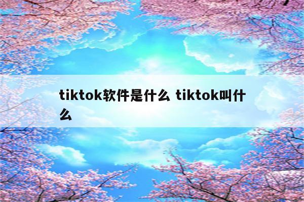 tiktok软件是什么 tiktok叫什么