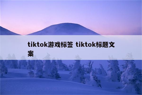 tiktok游戏标签 tiktok标题文案