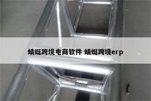 蜻蜓跨境电商软件 蜻蜓跨境erp