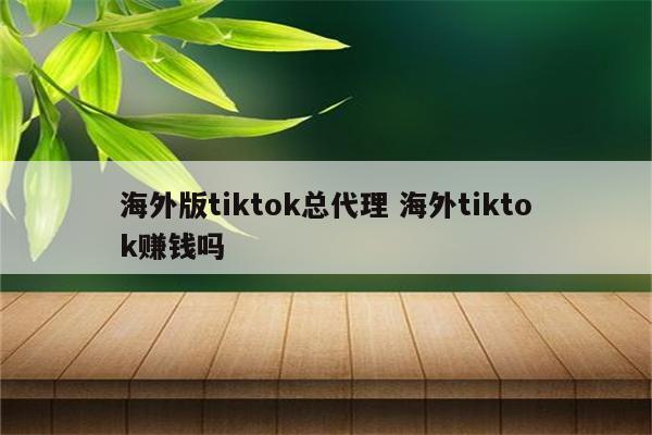 海外版tiktok总代理 海外tiktok赚钱吗