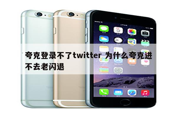 夸克登录不了twitter 为什么夸克进不去老闪退