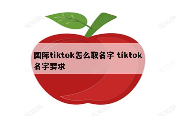 国际tiktok怎么取名字 tiktok名字要求