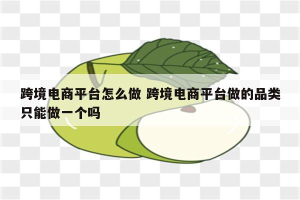 跨境电商平台怎么做 跨境电商平台做的品类只能做一个吗