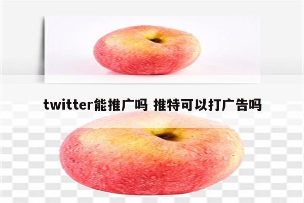 twitter能推广吗 推特可以打广告吗