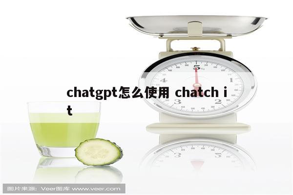 chatgpt怎么使用 chatch it