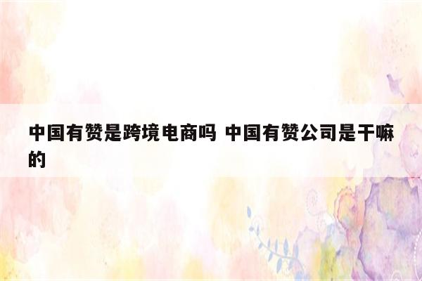 中国有赞是跨境电商吗 中国有赞公司是干嘛的