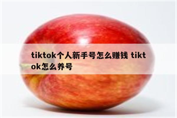 tiktok个人新手号怎么赚钱 tiktok怎么养号