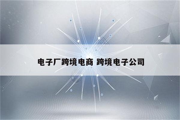 电子厂跨境电商 跨境电子公司