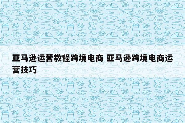 亚马逊运营教程跨境电商 亚马逊跨境电商运营技巧
