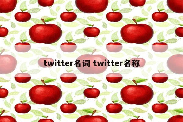 twitter名词 twitter名称