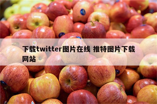 下载twitter图片在线 推特图片下载网站