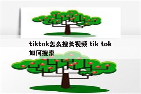 tiktok怎么搜长视频 tik tok如何搜索