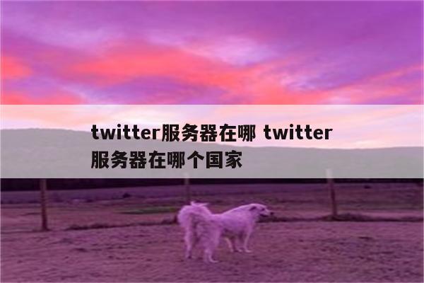 twitter服务器在哪 twitter服务器在哪个国家