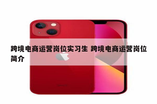 跨境电商运营岗位实习生 跨境电商运营岗位简介