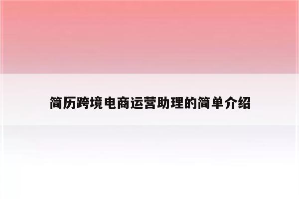 简历跨境电商运营助理的简单介绍