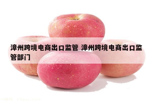 漳州跨境电商出口监管 漳州跨境电商出口监管部门