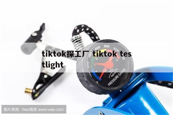tiktok探工厂 tiktok testlight