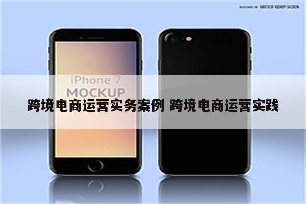 跨境电商运营实务案例 跨境电商运营实践