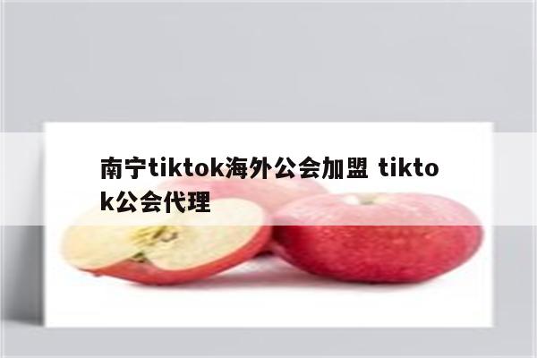 南宁tiktok海外公会加盟 tiktok公会代理