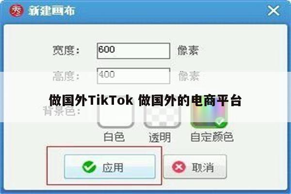 做国外TikTok 做国外的电商平台