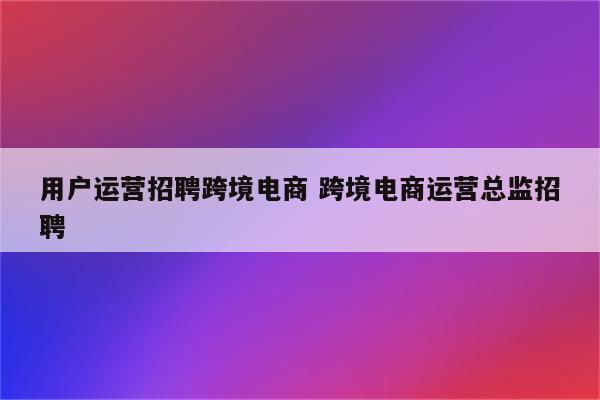 用户运营招聘跨境电商 跨境电商运营总监招聘