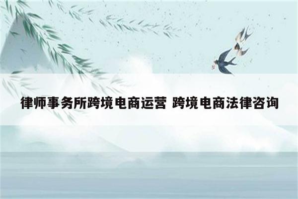 律师事务所跨境电商运营 跨境电商法律咨询