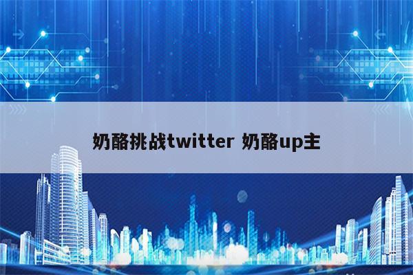 奶酪挑战twitter 奶酪up主