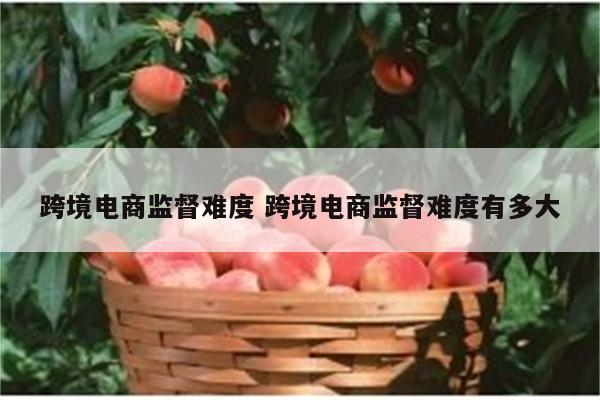 跨境电商监督难度 跨境电商监督难度有多大