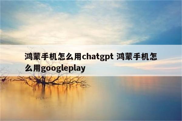 鸿蒙手机怎么用chatgpt 鸿蒙手机怎么用googleplay