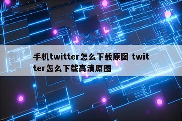 手机twitter怎么下载原图 twitter怎么下载高清原图