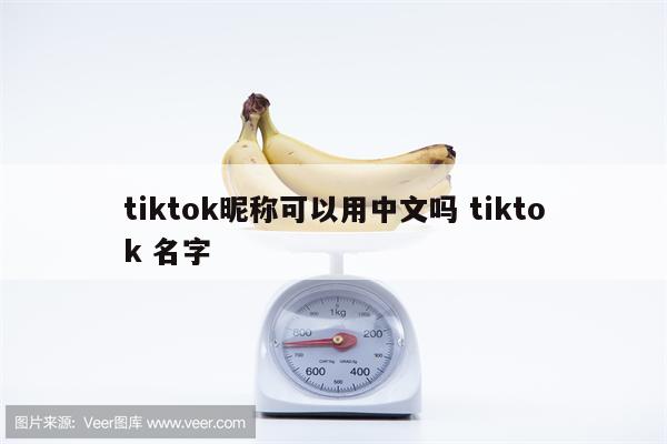 tiktok昵称可以用中文吗 tiktok 名字
