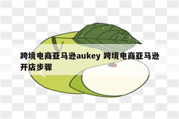 跨境电商亚马逊aukey 跨境电商亚马逊开店步骤