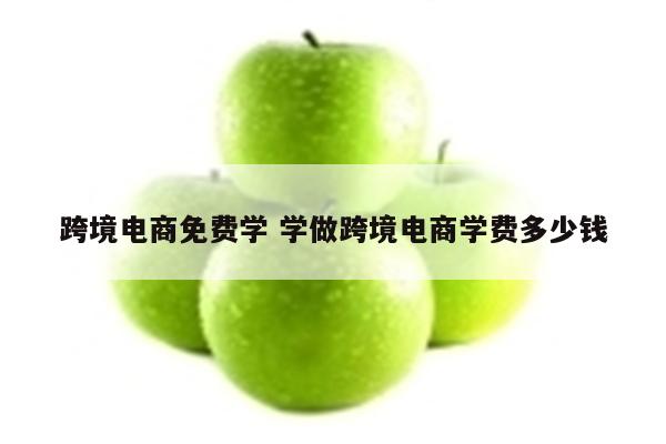 跨境电商免费学 学做跨境电商学费多少钱