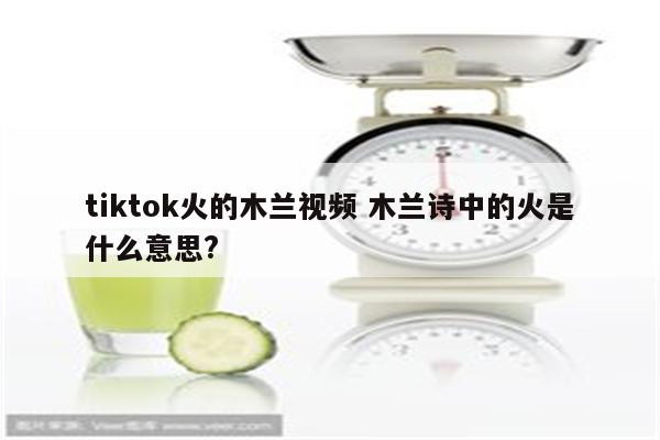 tiktok火的木兰视频 木兰诗中的火是什么意思?