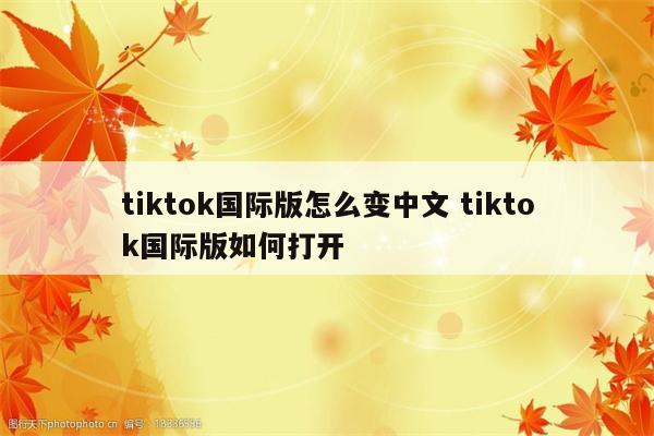 tiktok国际版怎么变中文 tiktok国际版如何打开