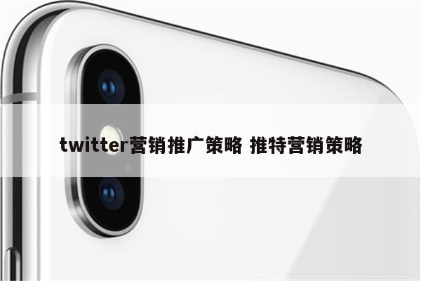 twitter营销推广策略 推特营销策略