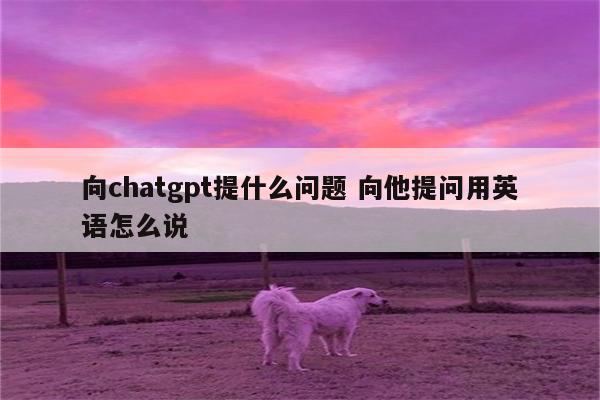向chatgpt提什么问题 向他提问用英语怎么说
