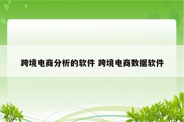 跨境电商分析的软件 跨境电商数据软件