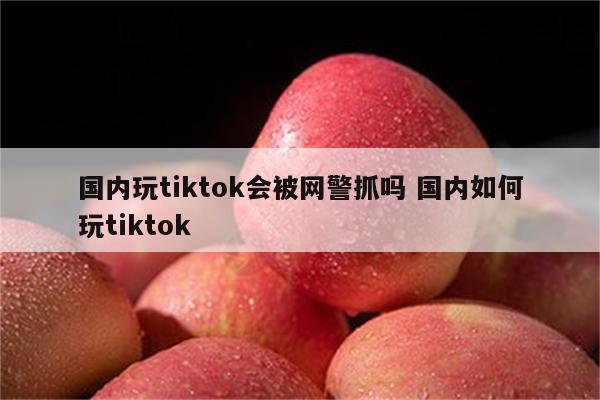 国内玩tiktok会被网警抓吗 国内如何玩tiktok
