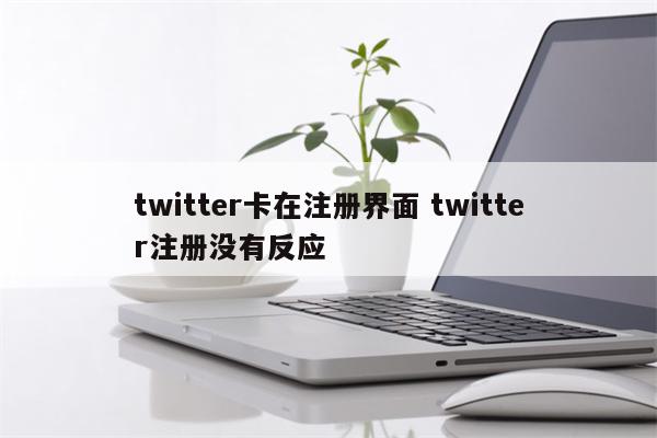 twitter卡在注册界面 twitter注册没有反应