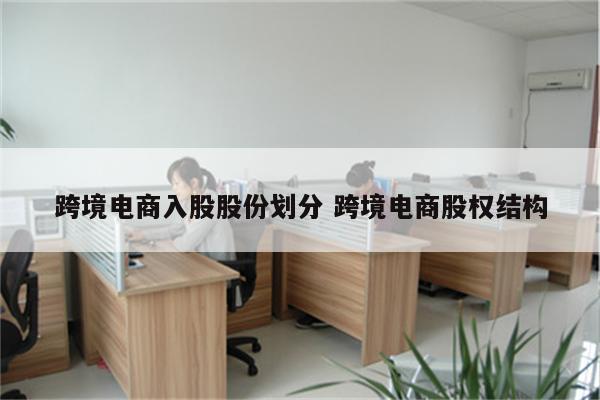 跨境电商入股股份划分 跨境电商股权结构