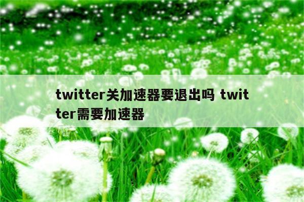 twitter关加速器要退出吗 twitter需要加速器