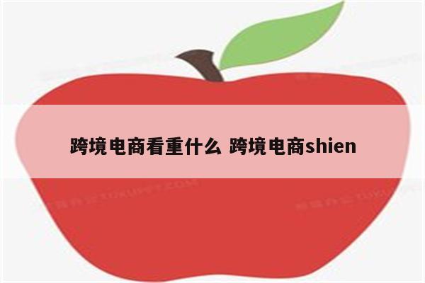 跨境电商看重什么 跨境电商shien