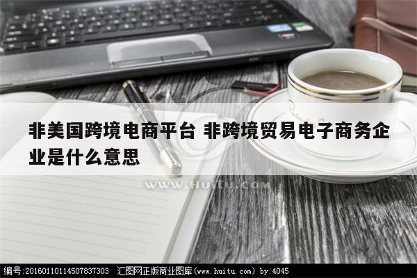 非美国跨境电商平台 非跨境贸易电子商务企业是什么意思