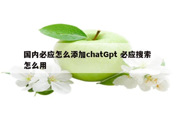 国内必应怎么添加chatGpt 必应搜索怎么用