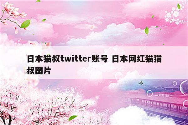 日本猫叔twitter账号 日本网红猫猫叔图片