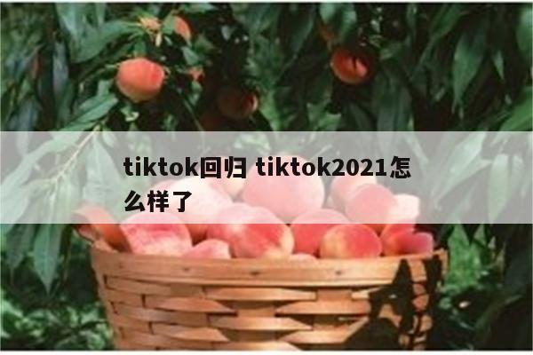 tiktok回归 tiktok2021怎么样了