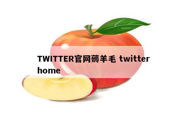 TWITTER官网薅羊毛 twitterhome