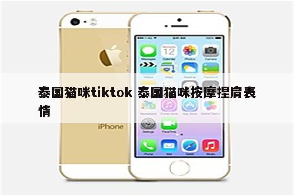 泰国猫咪tiktok 泰国猫咪按摩捏肩表情