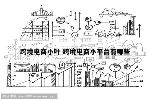 跨境电商小叶 跨境电商小平台有哪些